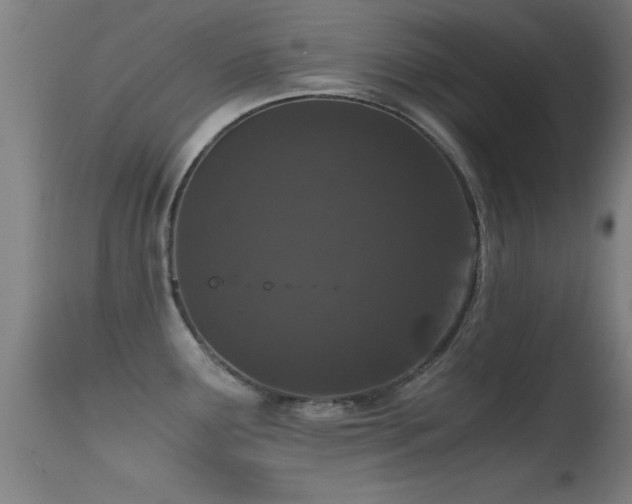 X0000114661291200910201522