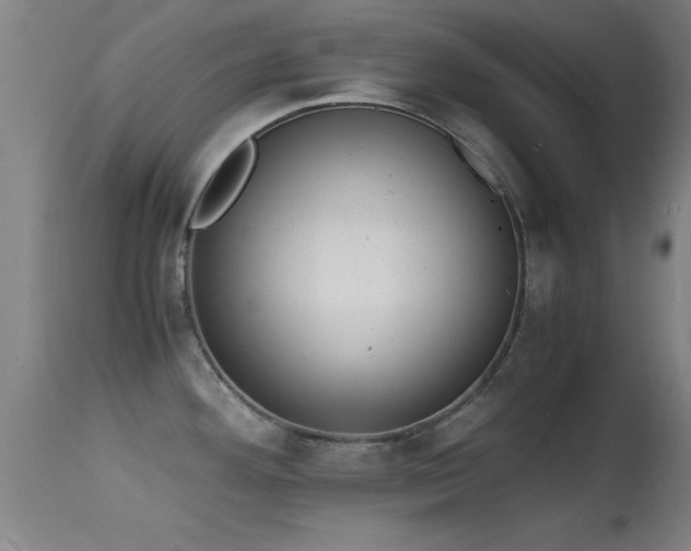 X0000114661292200910201522