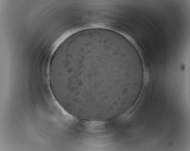 X0000114661294200910201522