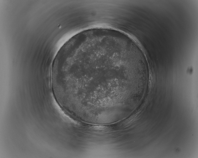 X0000114661295200910201522