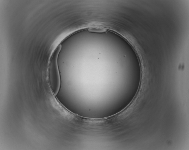 X0000114661296200910201522