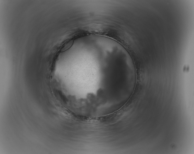 X0000114661297200910201522