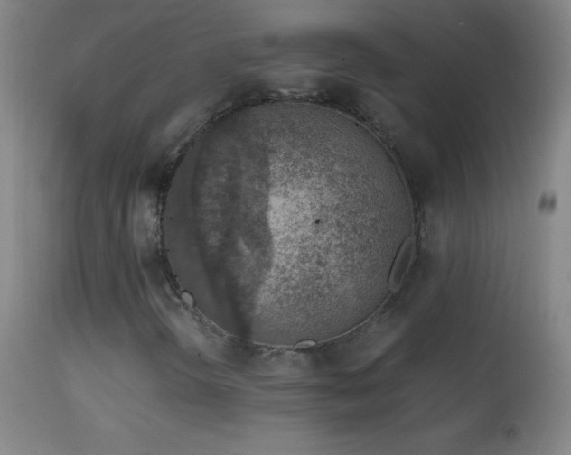 X0000114661298200910201522