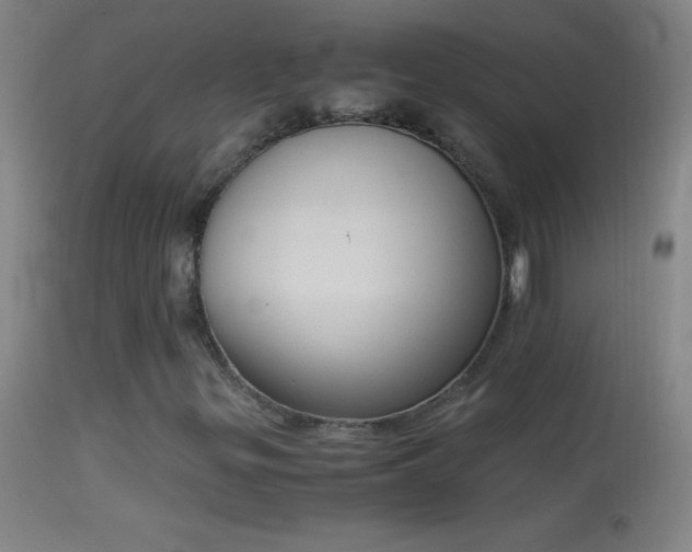 X0000114661299200910201522