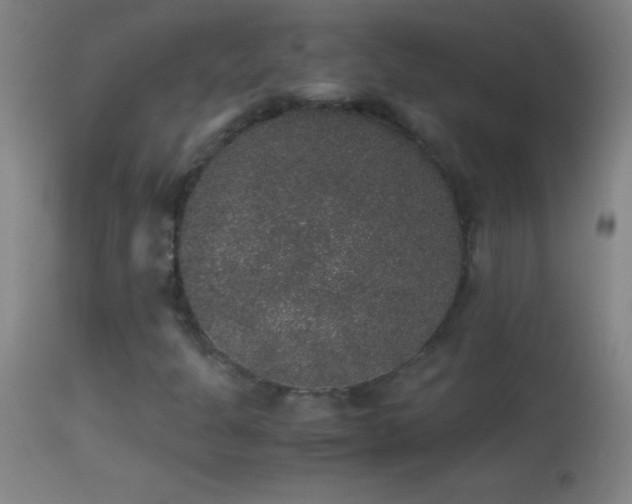 X0000114661301200910201522