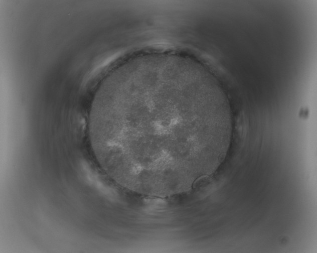 X0000114661302200910201522