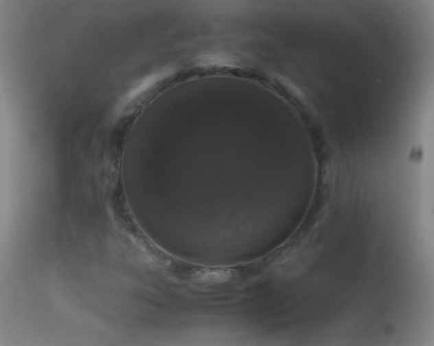 X0000114661303200910201522