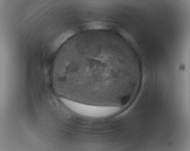 X0000114661305200910201522