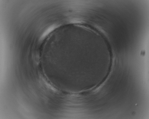 X0000114661306200910201522