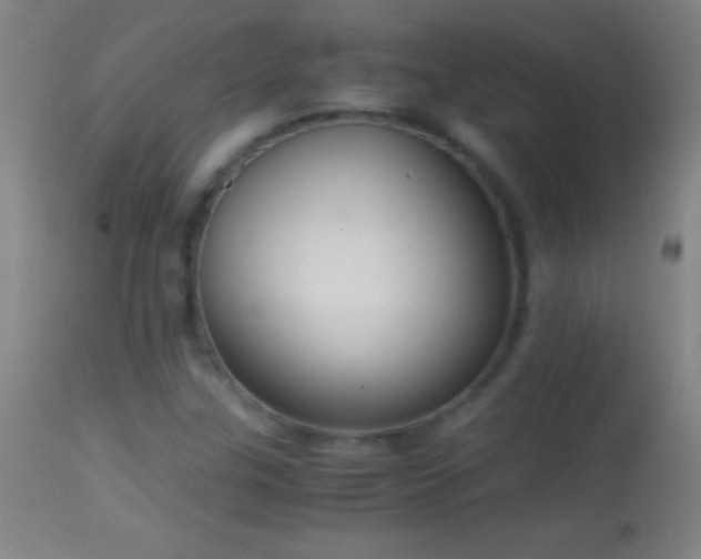 X0000114661307200910201522