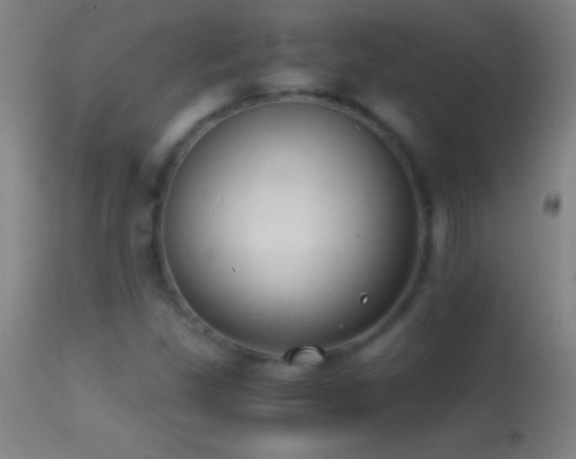 X0000114661309200910201522