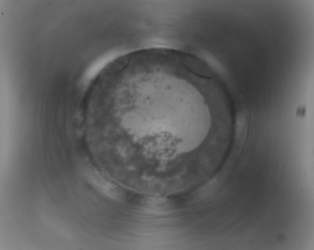 X0000114661310200910201522