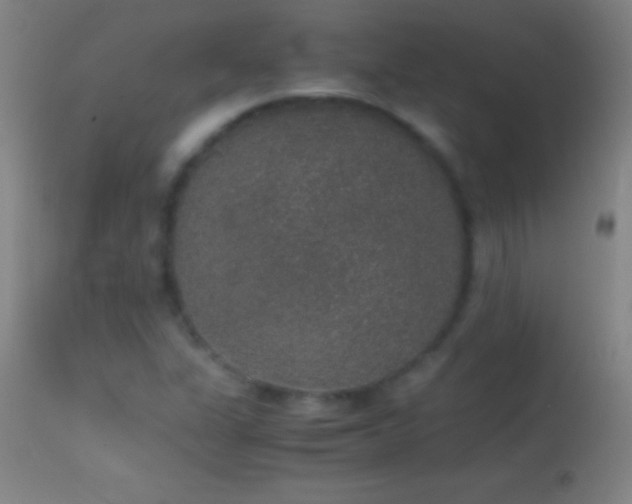 X0000114661311200910201522