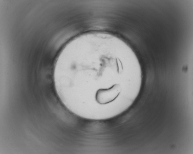 X0000114661314200910201522