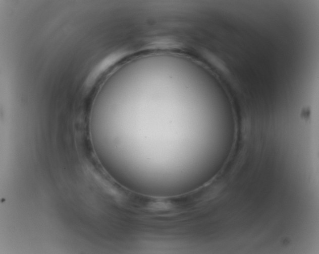 X0000114661315200910201522