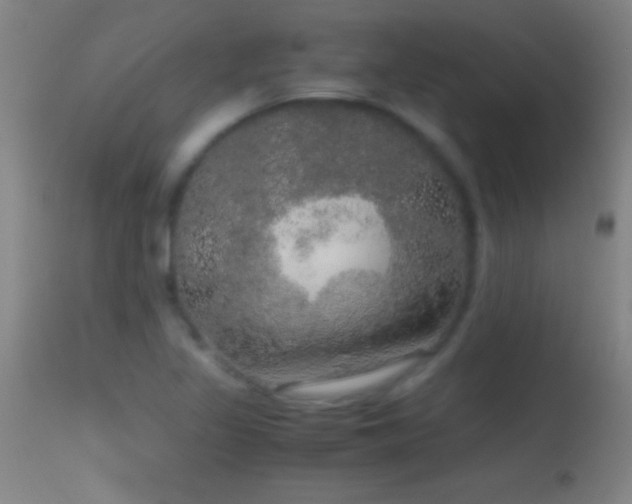 X0000114661317200910201522