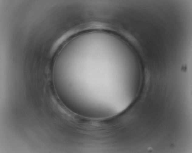 X0000114661318200910201522