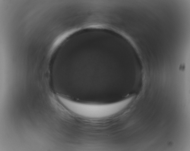 X0000114661319200910201522