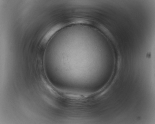 X0000114661321200910201522