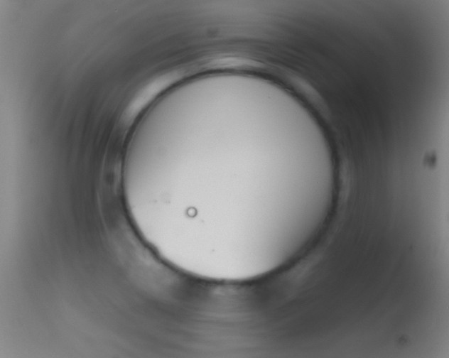 X0000114661322200910201522