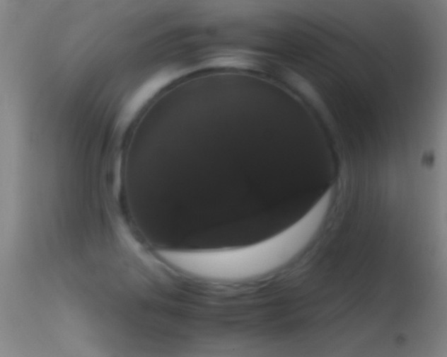 X0000114661323200910201522