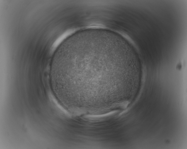 X0000114661325200910201522