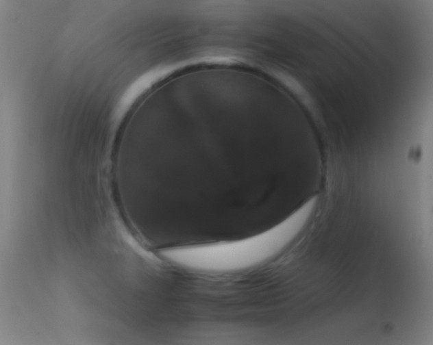 X0000114661327200910201522