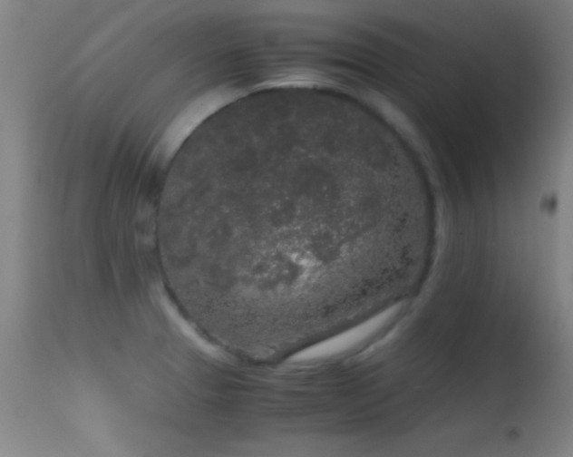 X0000114661329200910201522