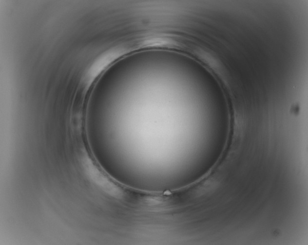 X0000114661330200910201522