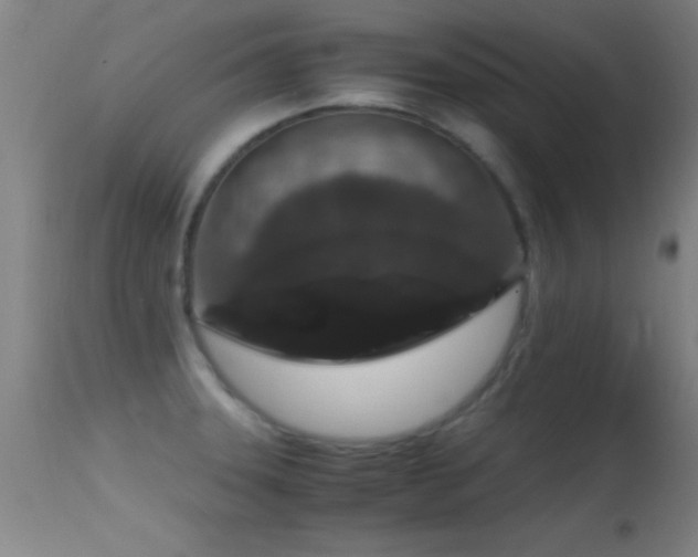 X0000114661331200910201522