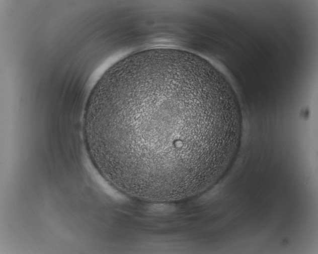 X0000114661333200910201522