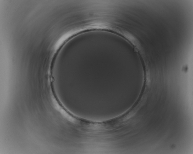 X0000114661334200910201522