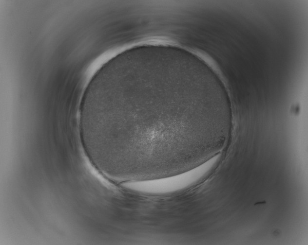 X0000114661335200910201522