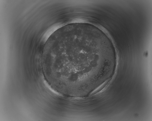 X0000114661337200910201522