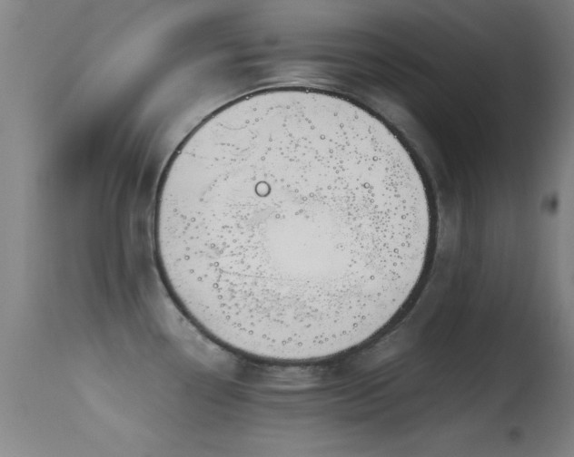 X0000114661338200910201522