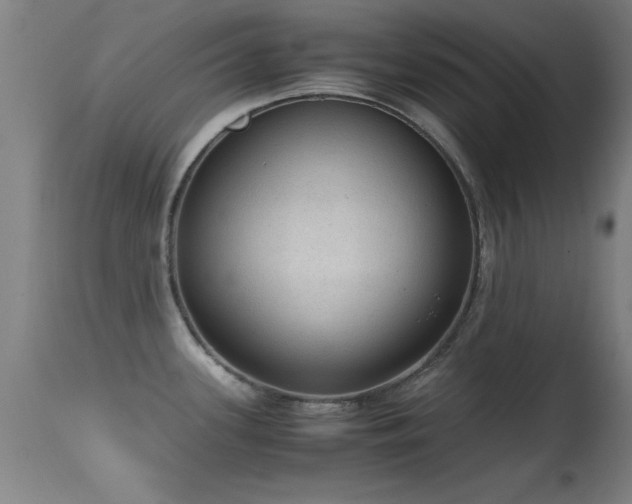 X0000114661339200910201522