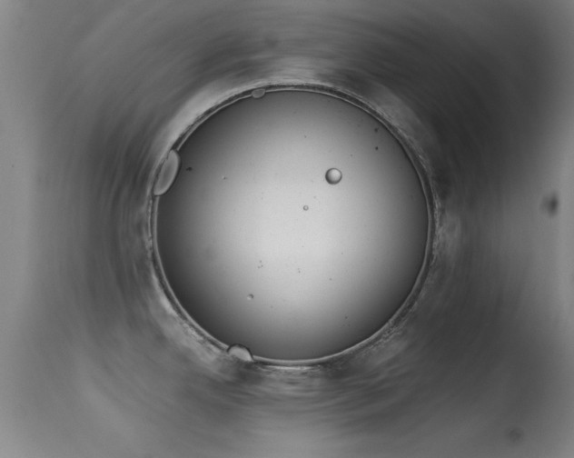 X0000114661342200910201522