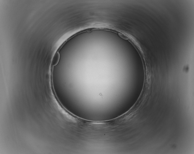 X0000114661343200910201522