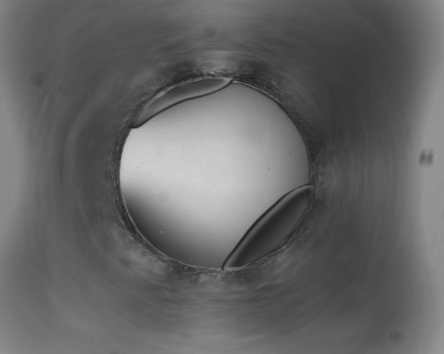 X0000114661345200910201522