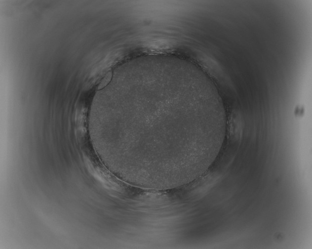 X0000114661346200910201522