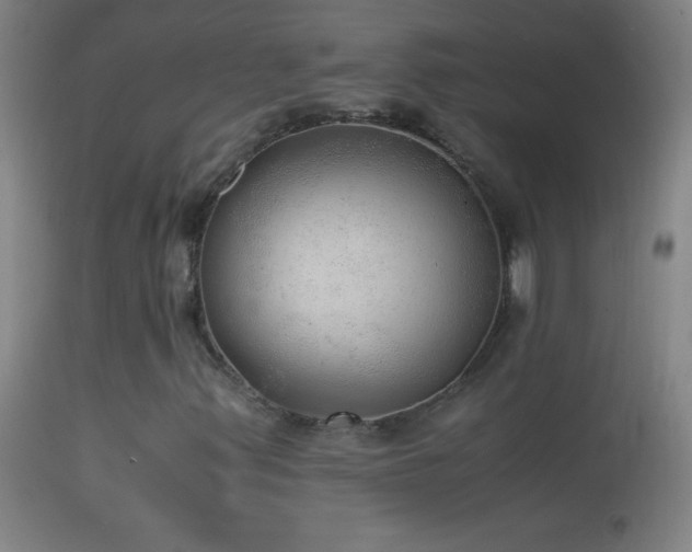 X0000114661347200910201521