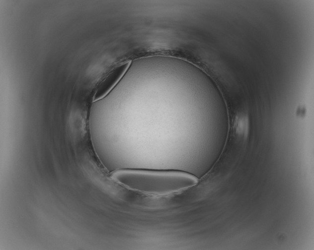 X0000114661348200910201521