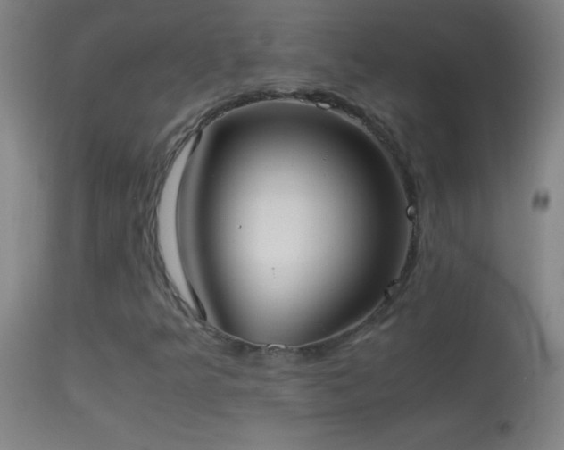 X0000114661349200910201521