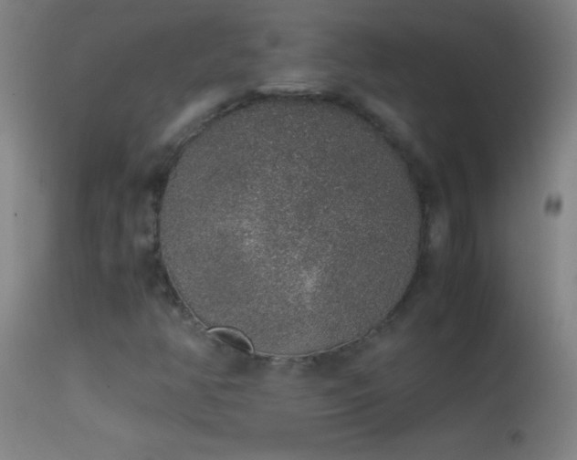 X0000114661350200910201521