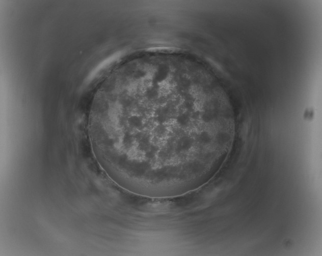 X0000114661351200910201521