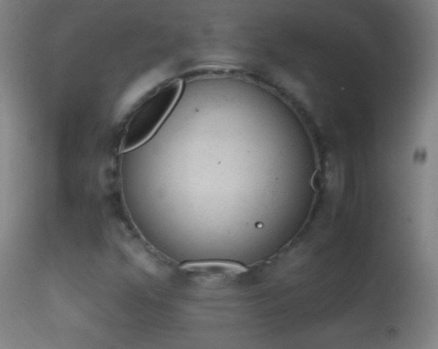 X0000114661352200910201521