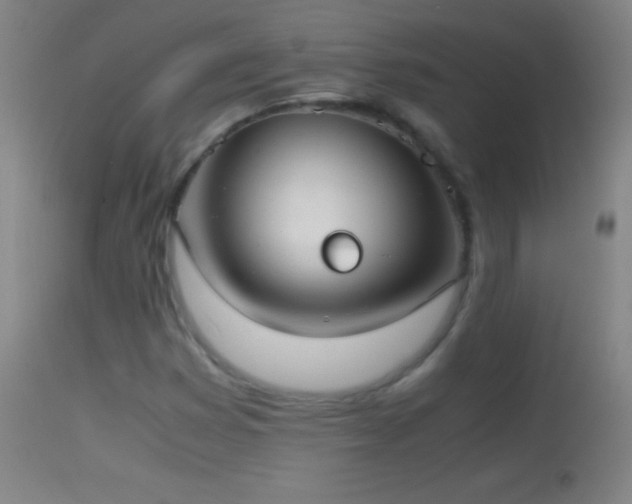 X0000114661353200910201521