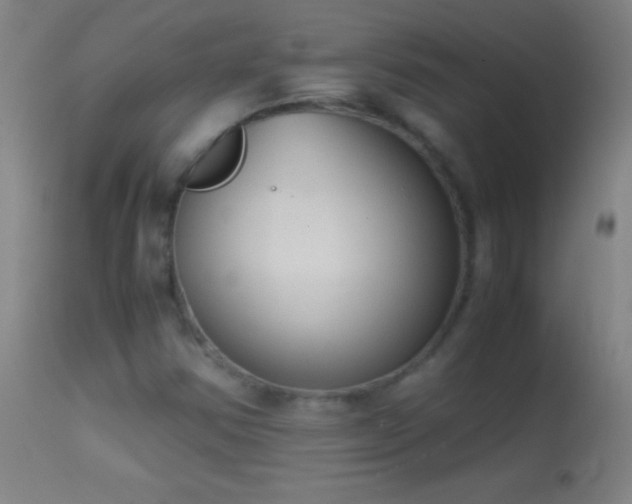 X0000114661354200910201521