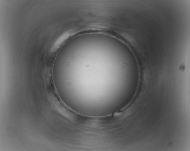 X0000114661355200910201521