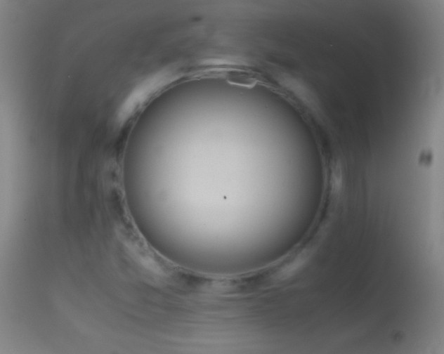 X0000114661357200910201521